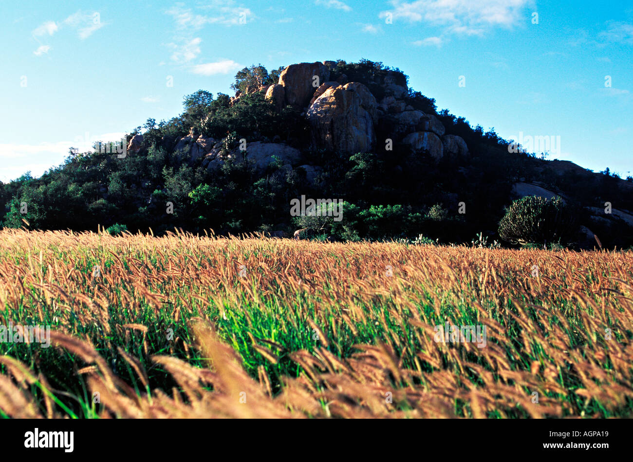 Kopje South Africa High Resolution Stock Photography and Images - Alamy