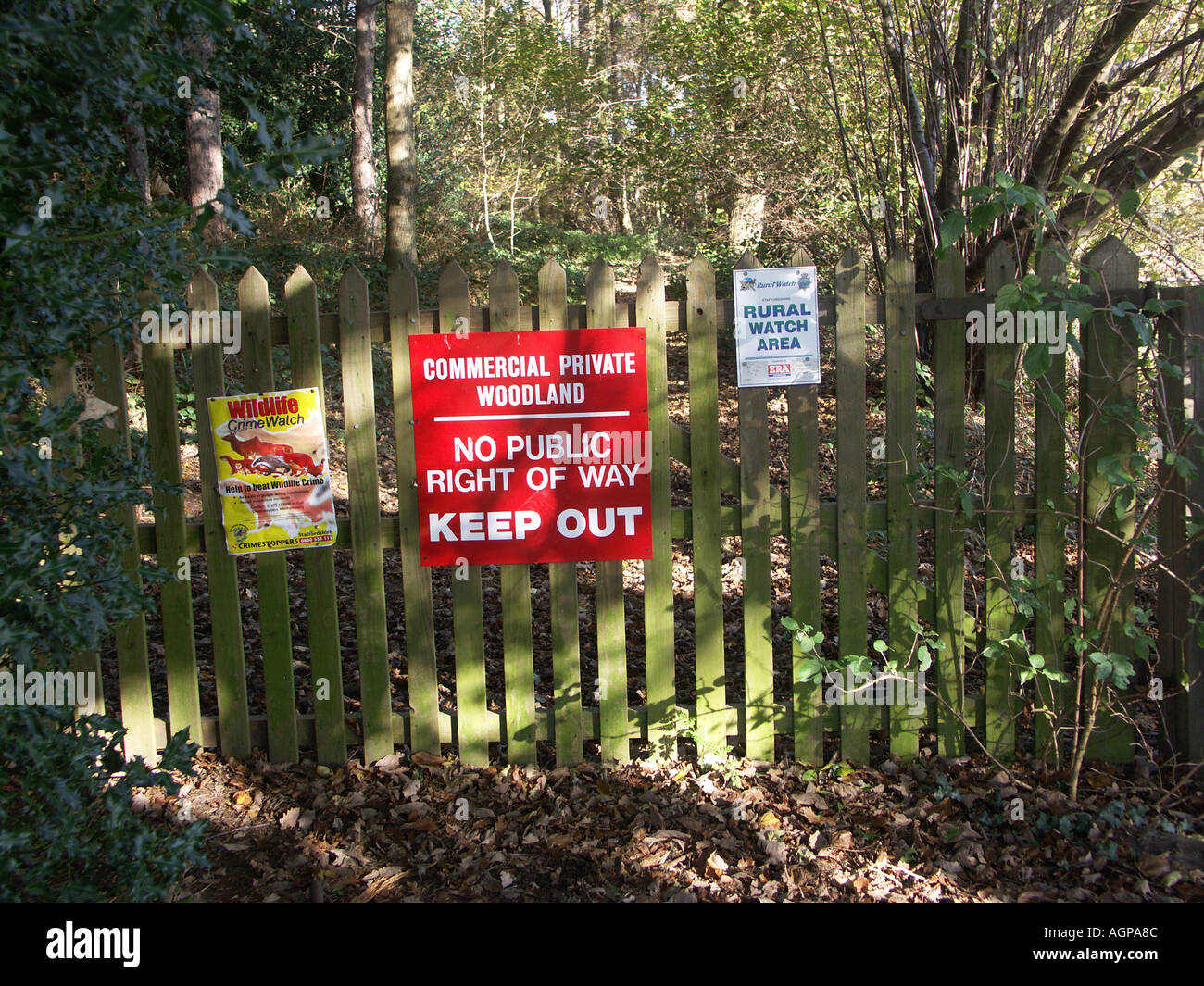 Treehousekeep Out Sign Commercial Woodland Keep Out Sign Stock Photo - Alamy