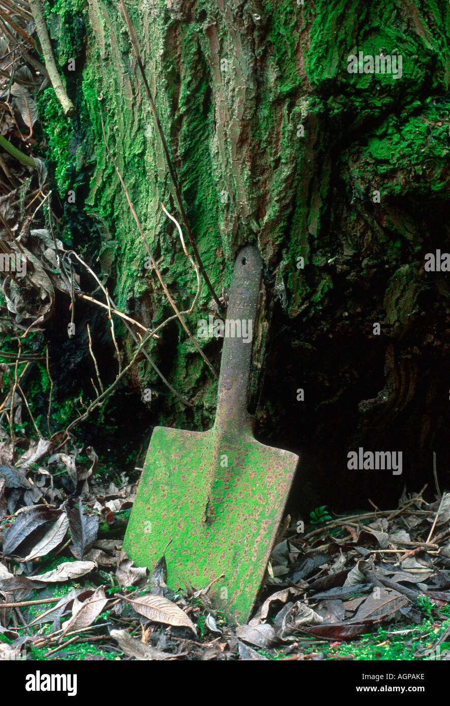 Tree spade hi-res stock photography and images - Alamy