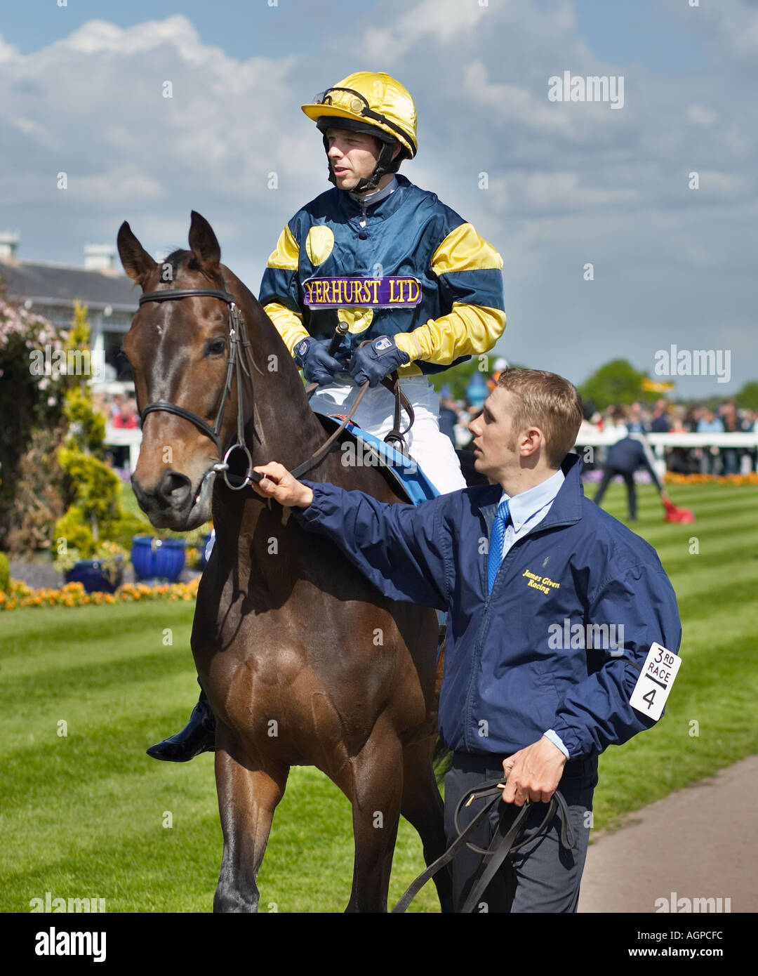 Horse being led round a Parade Ring Stock Photo