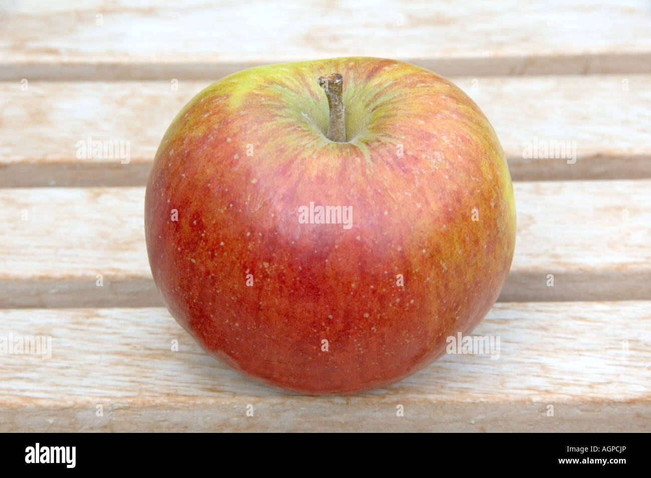 Cox s Orange Pippin Apple Stock Photo