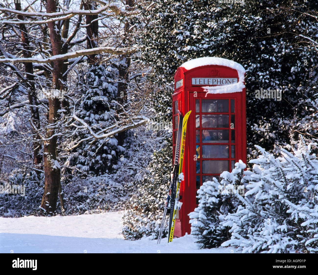 Winter Telephone Telephone Box Winter Stock Photo - Alamy