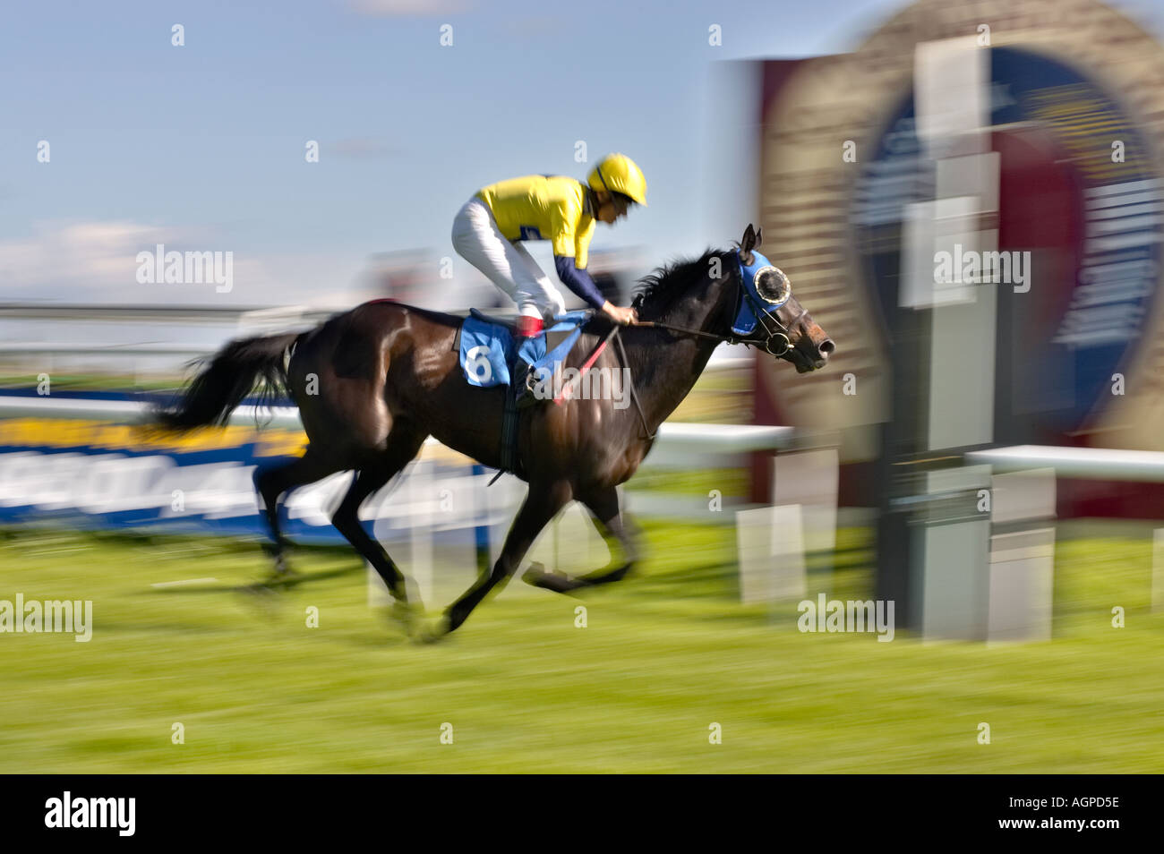 Horse racing - Winning a race - horse galloping at the finishing / winning post blur Stock Photo