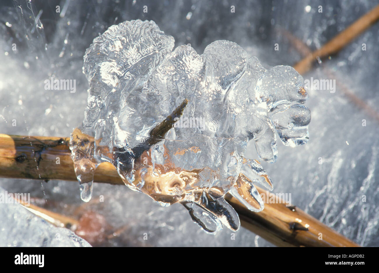 Ice formation in front of a cascade Stock Photo - Alamy