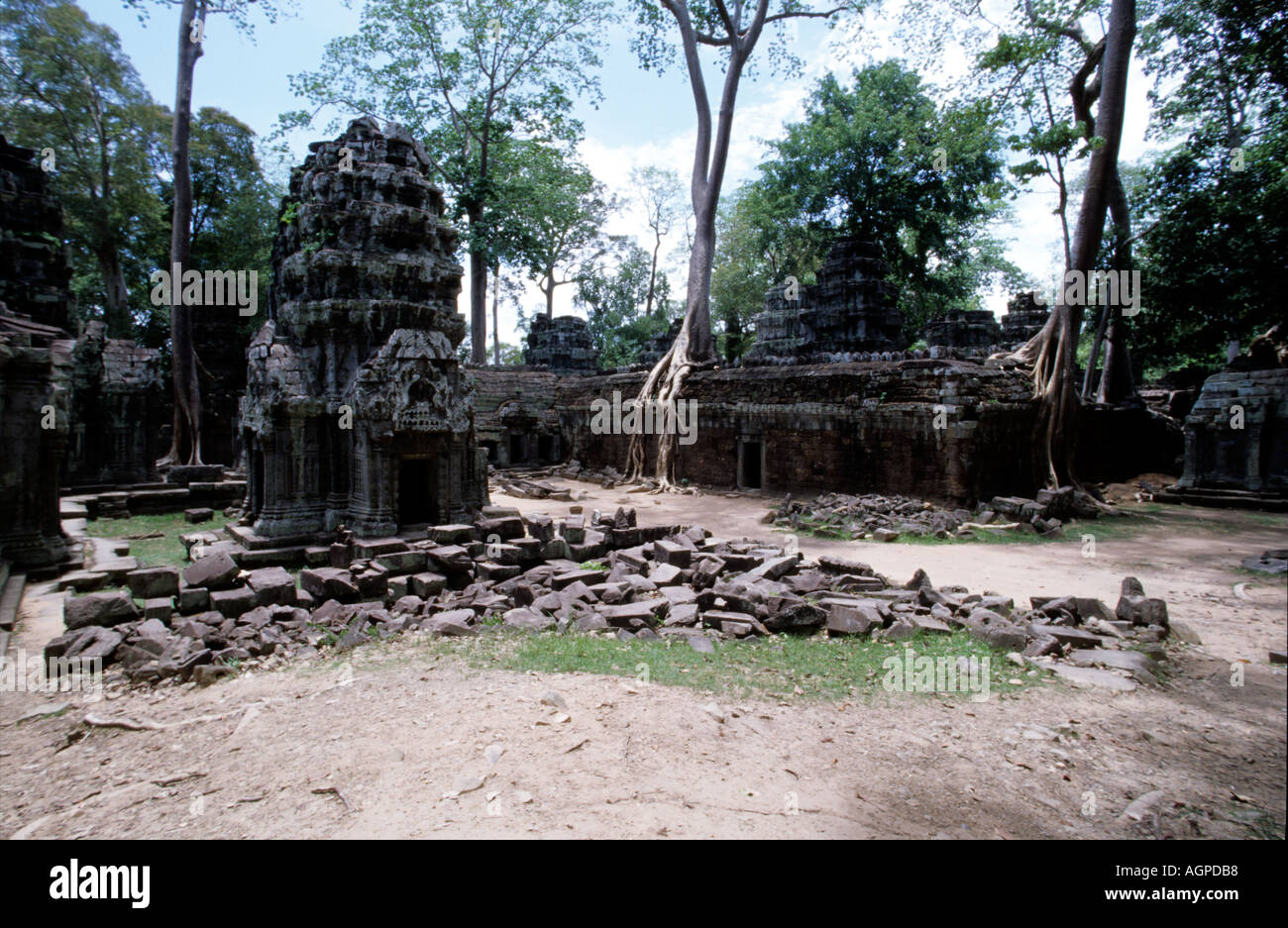 Regrowing Temples trees growing through the temple walls Stock Photo - Alamy