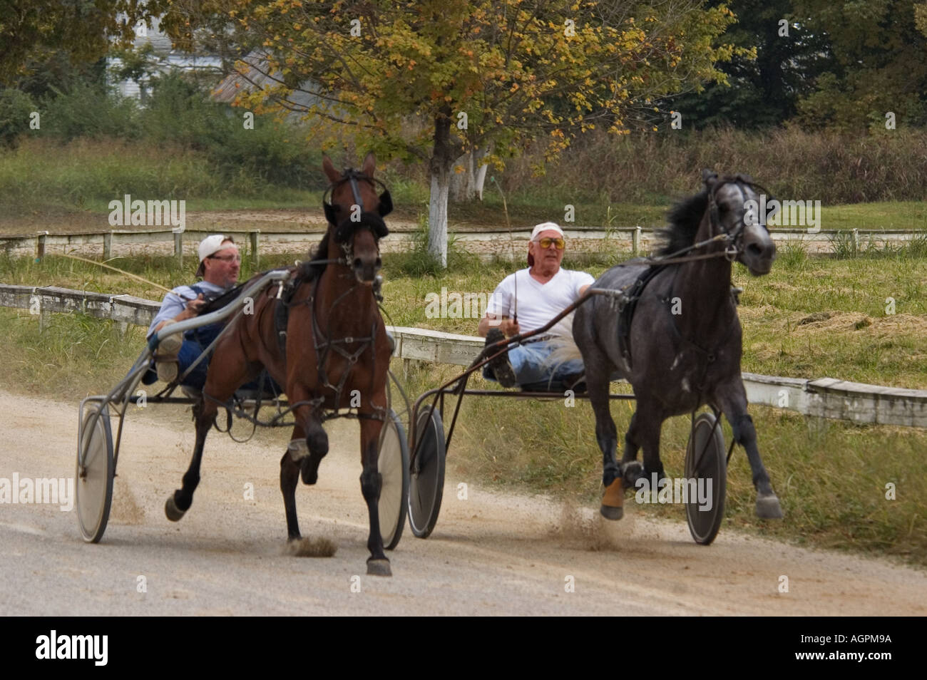 Training Harness Racers Corydon Indiana Stock Photo