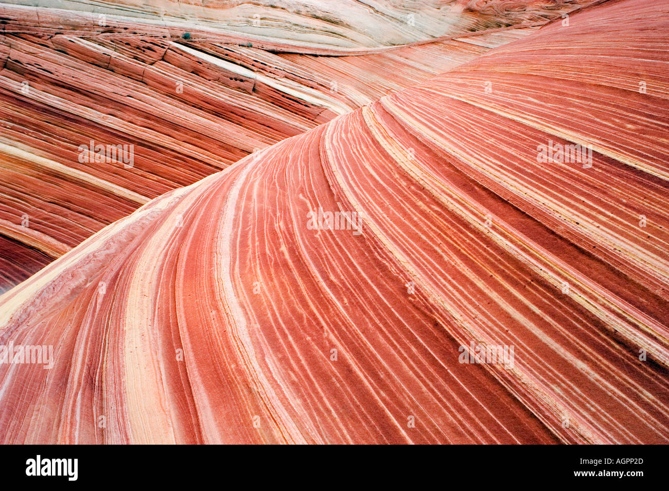 Colored striations in sandstone rocks Vermillion Cliffs Wilderness Arizona Stock Photo