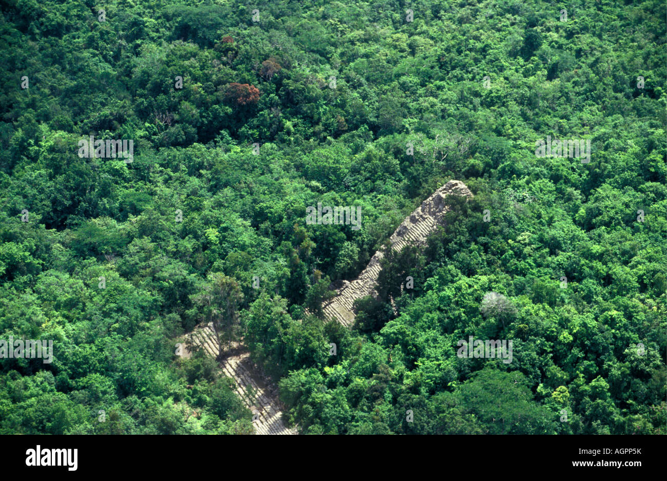 Mexico, Chetumal, Maya pyramid covered in jungle near Chichen Itza Stock Photo
