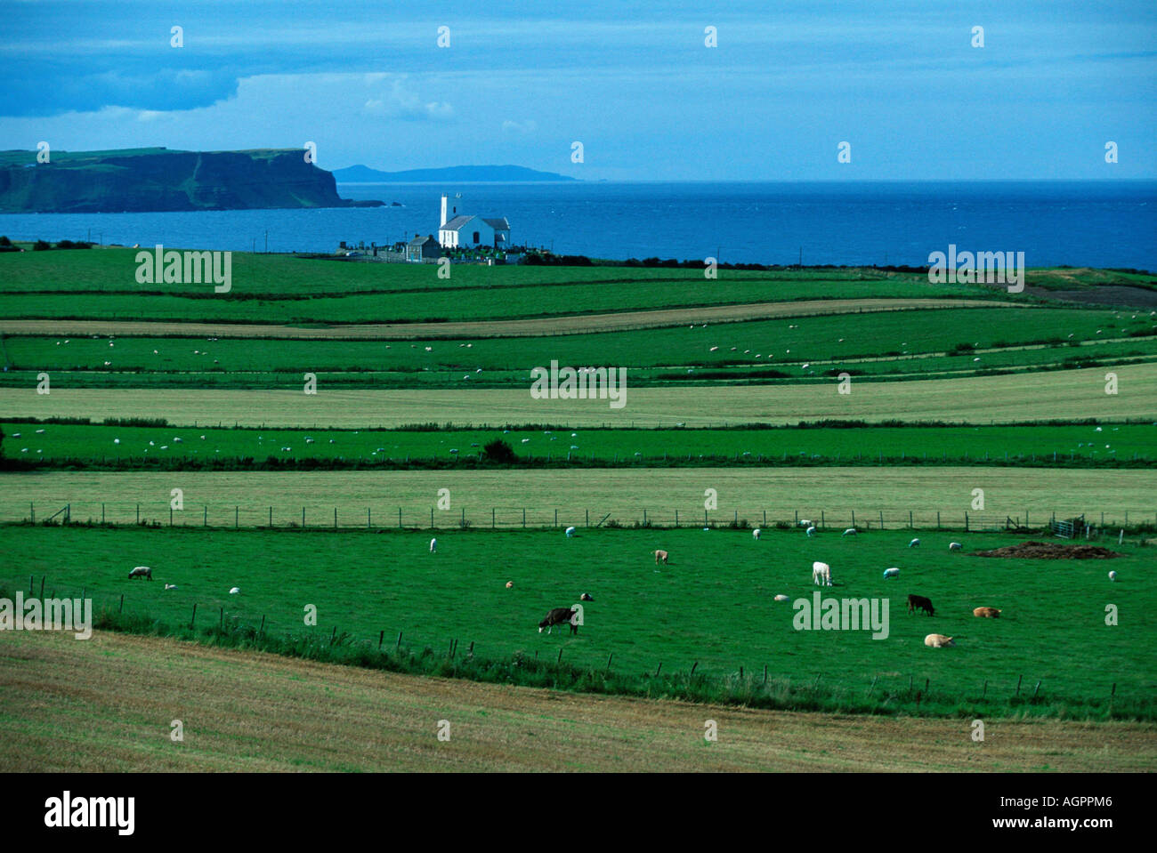Agrarland hi-res stock photography and images - Alamy