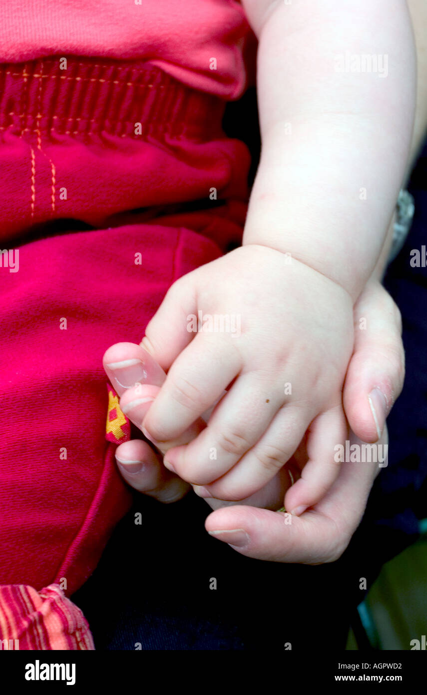 Adult holding baby s hand Stock Photo