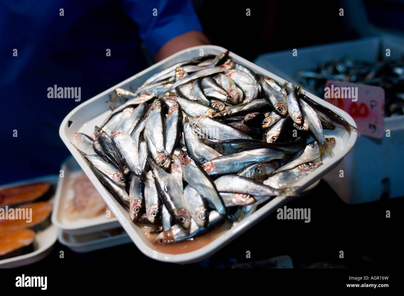 PIC BY DAVID BURGES A variety of fish at the fish market Birmingham Stock Photo Alamy