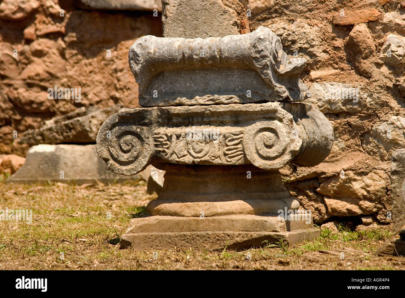 Ionic column / Delphi Stock Photo