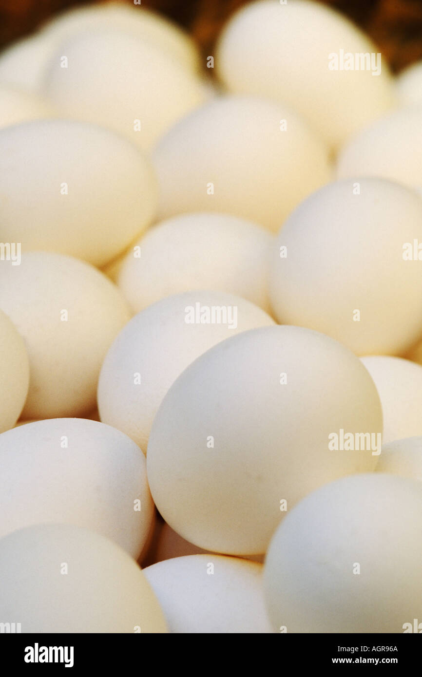 Food, Fresh eggs Stock Photo