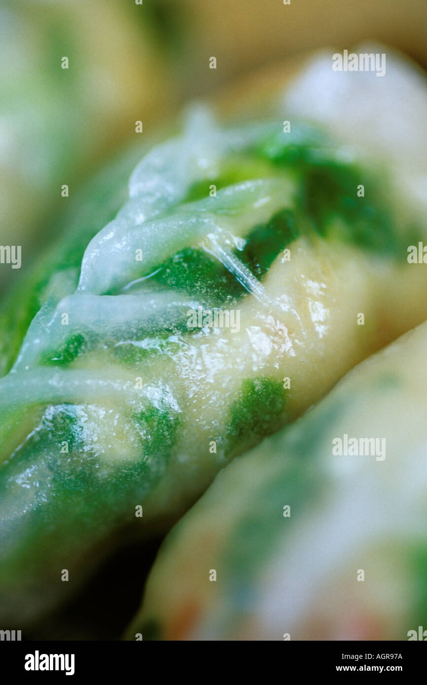 Food, Dim Sum, Shrimp dim sum Stock Photo - Alamy