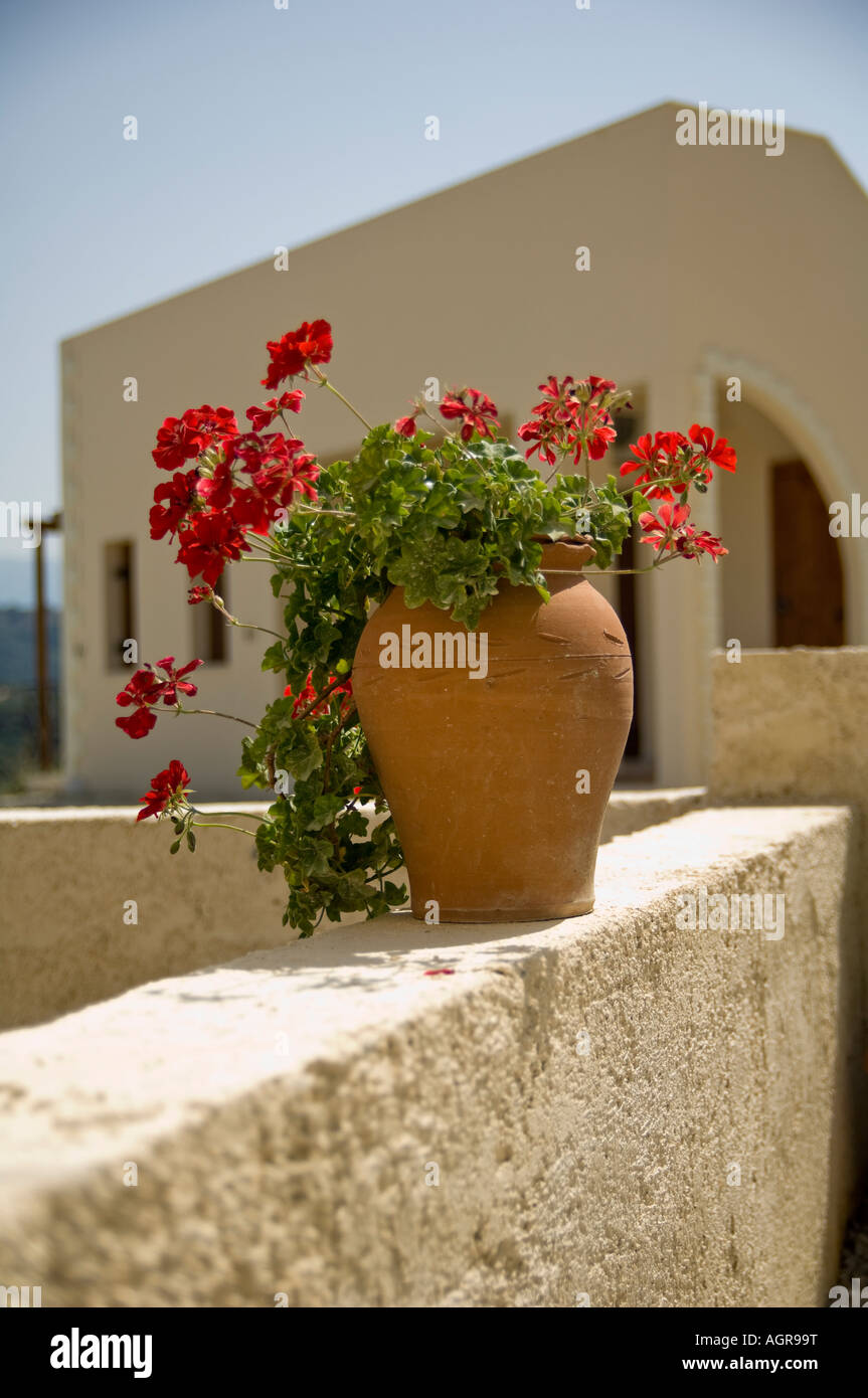 Potted plant with red flowers sitting on wall in Mediterranean setting ...