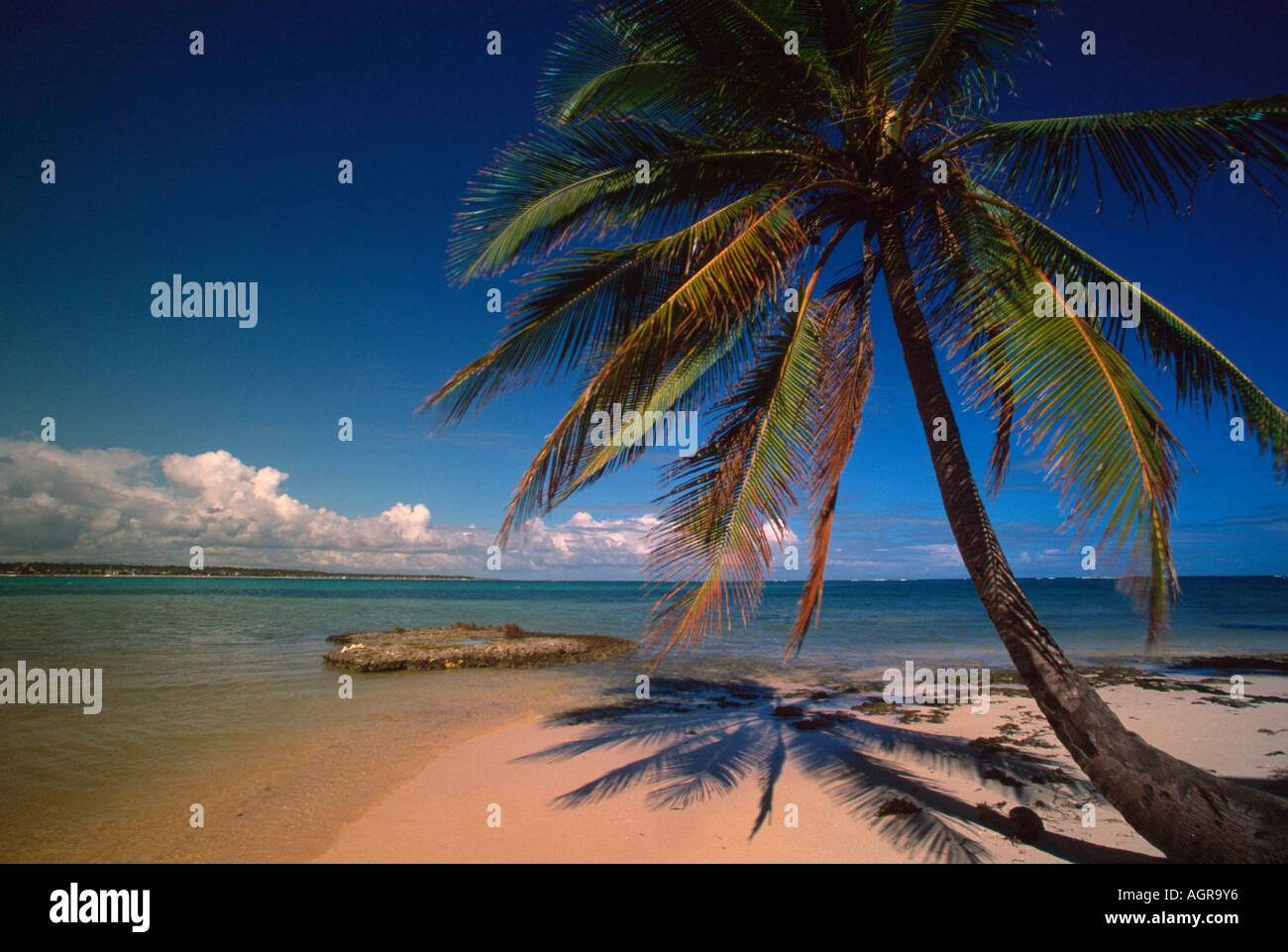 Tropical beach / Punta Cana Stock Photo - Alamy