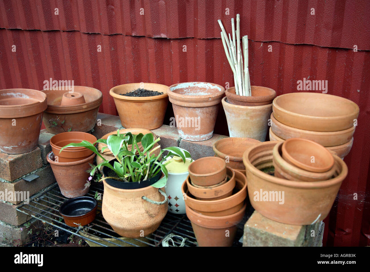 Flower Pots. Stock Photo