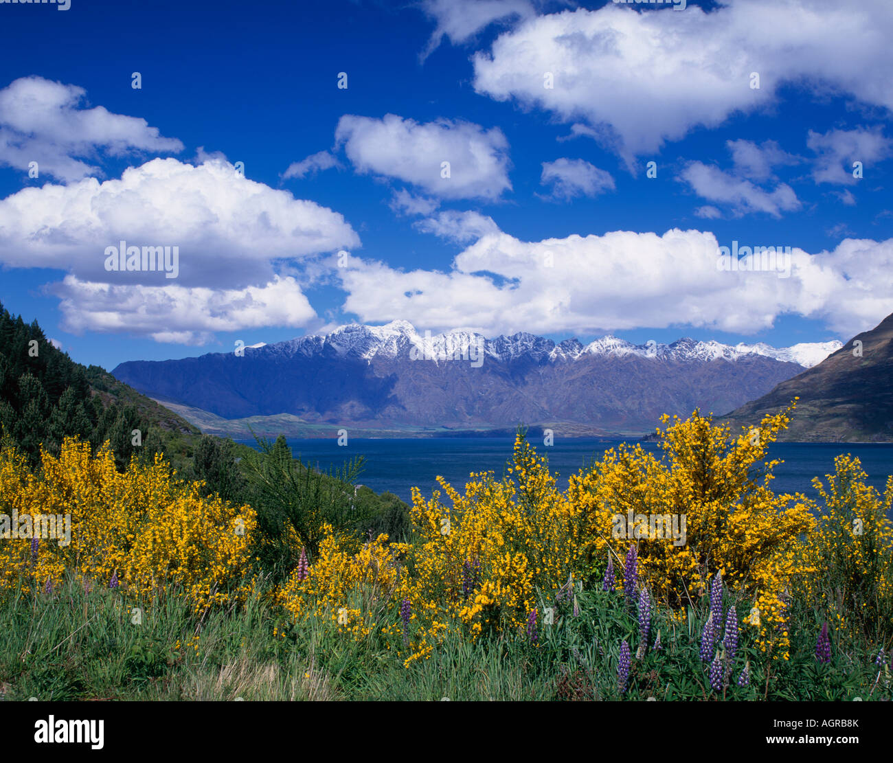 Lake Wakatipu and the Remarkables Queenstown Otago South Island New ...