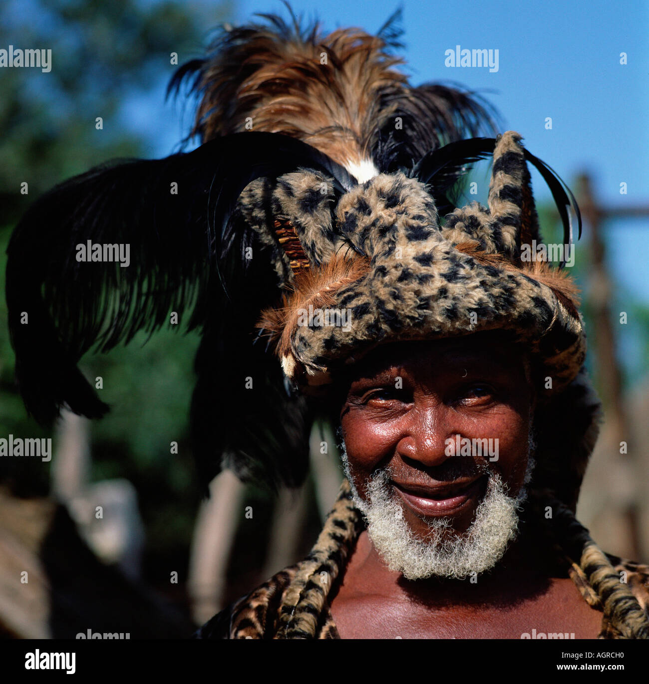 Zulu tribal chief / ZuluHaeuptling Stock Photo 8154127 Alamy