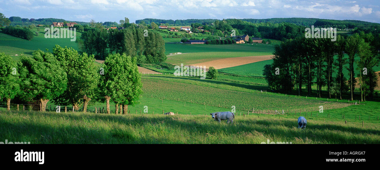 Agrarian Country Stock Photo