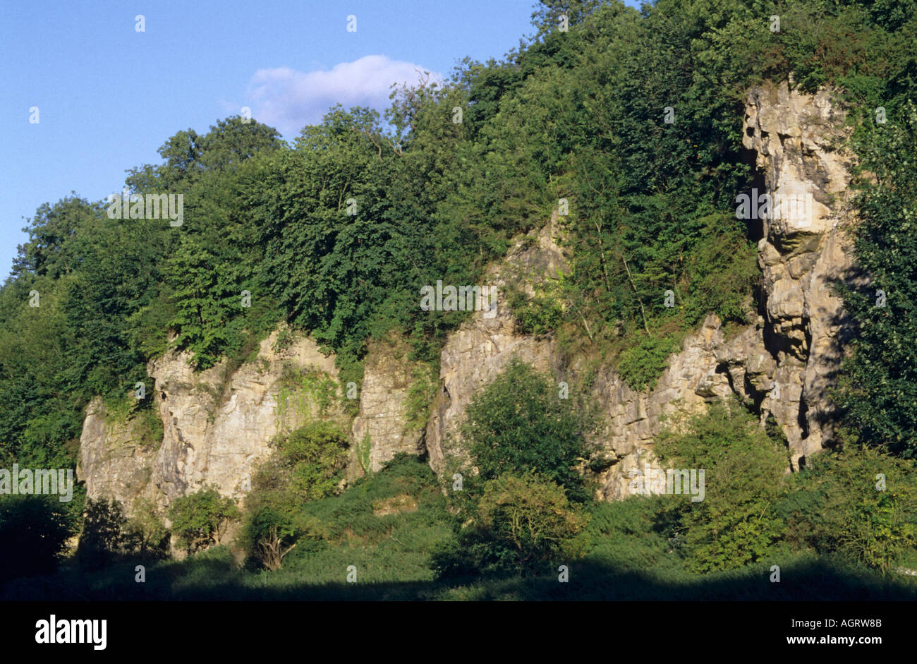 Creswell Crags cliff rock Stock Photo Alamy