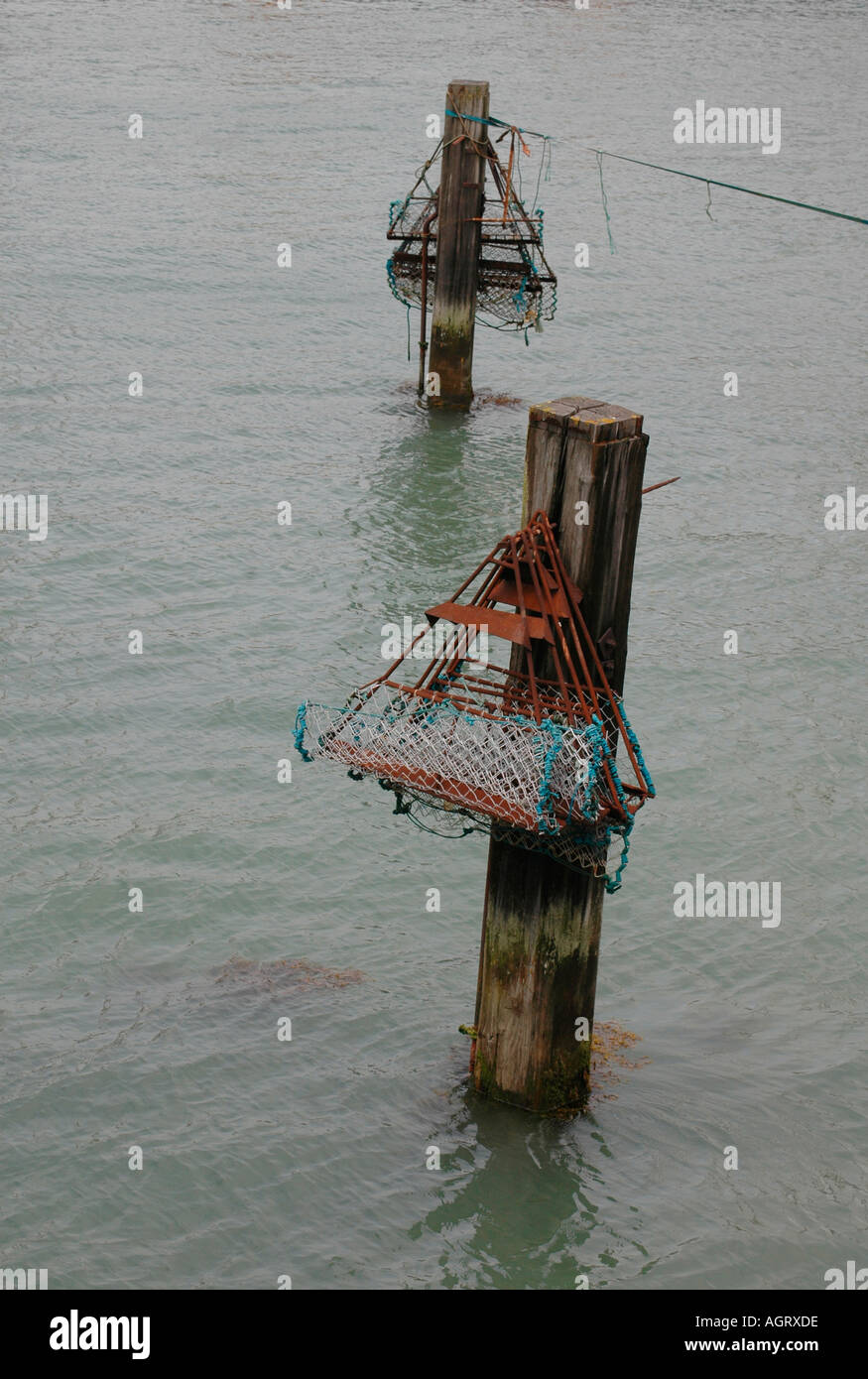Shellfish trawls hanging safely above the water Stock Photo