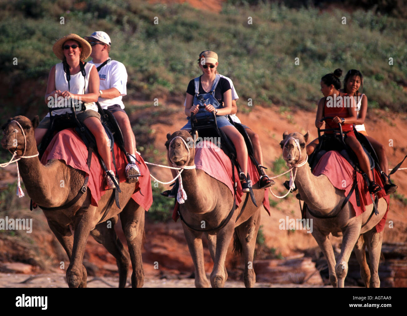Camel Rides Australia High Resolution Stock Photography and Images - Alamy