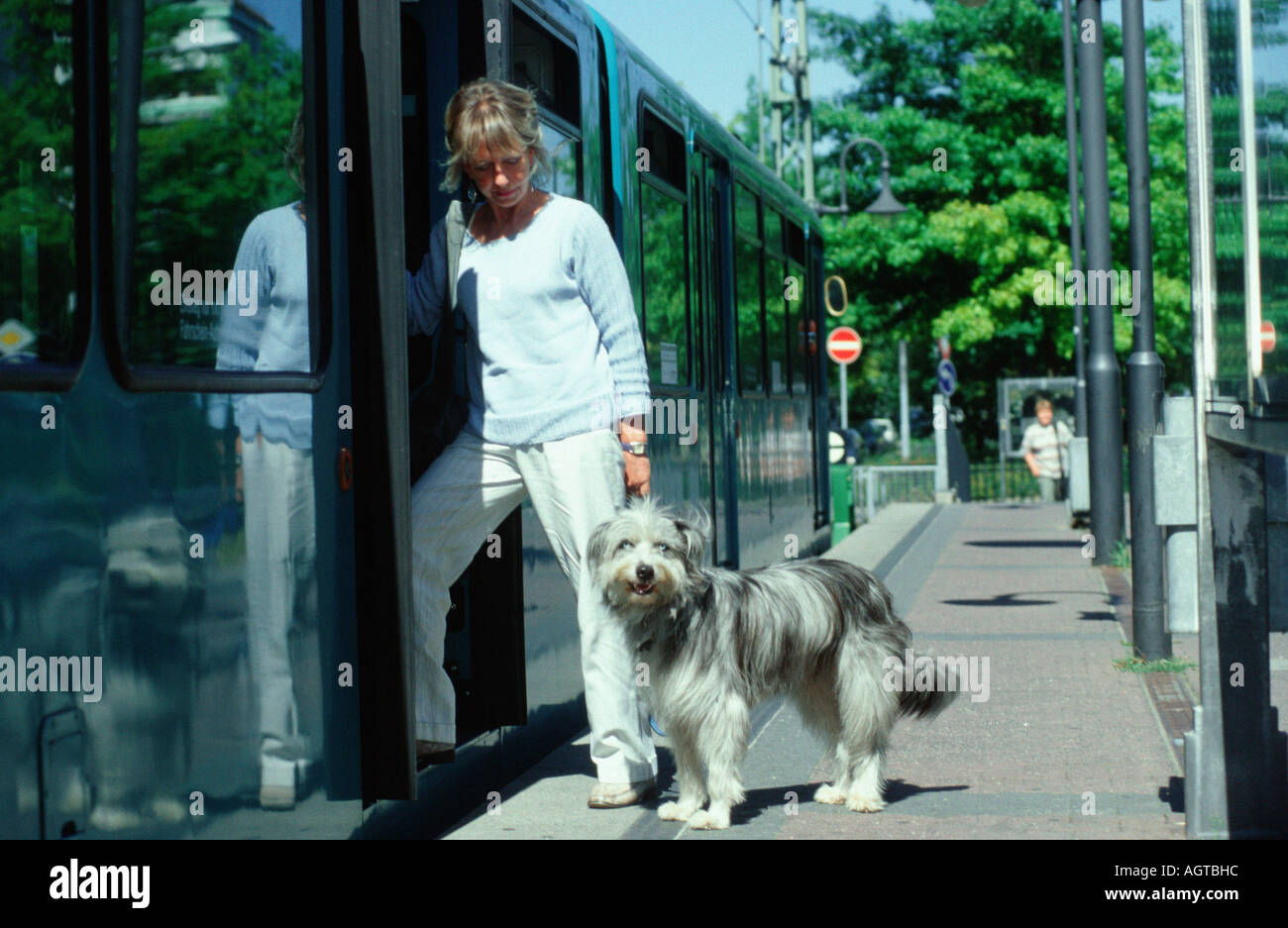 Woman with Mixed Breed Dog Stock Photo
