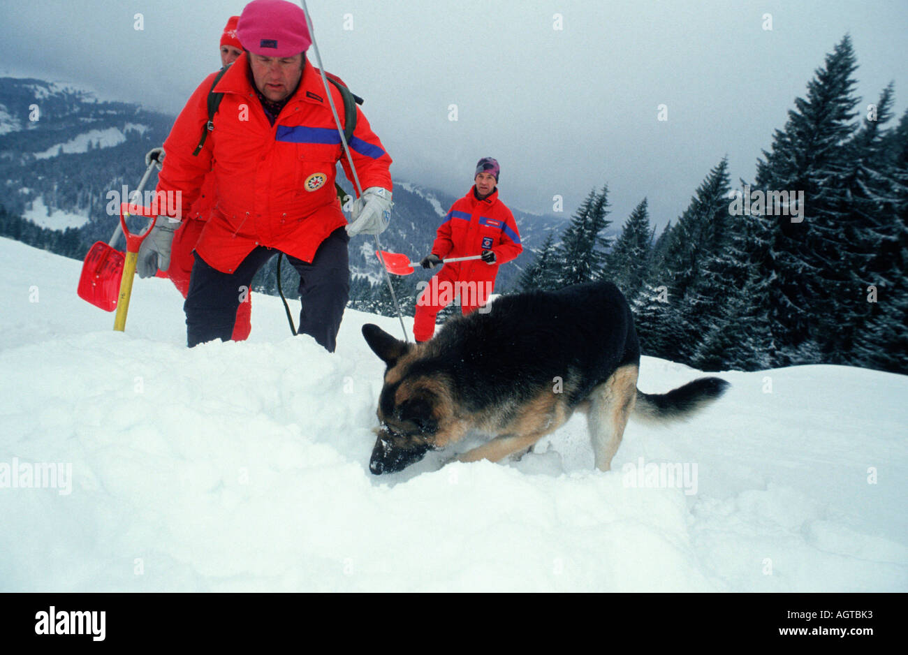 Avalanche hi-res stock photography and images - Alamy