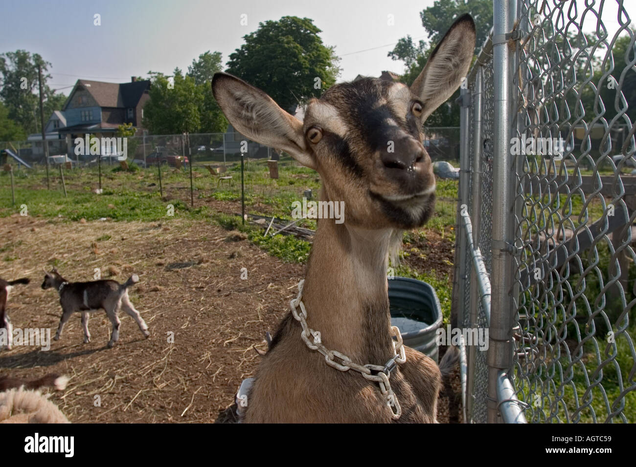 Urban farming Stock Photo