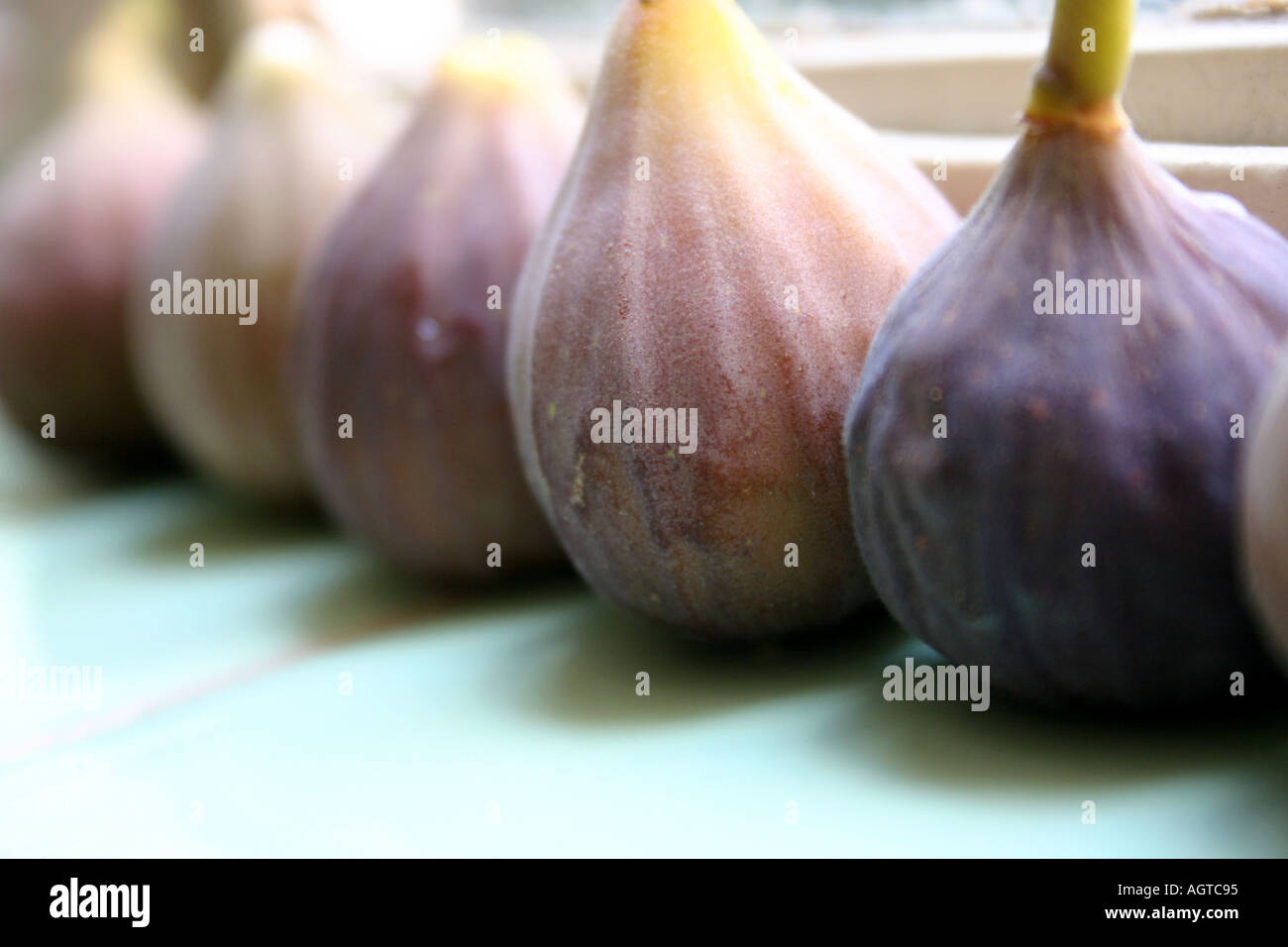 figs in a row Stock Photo - Alamy