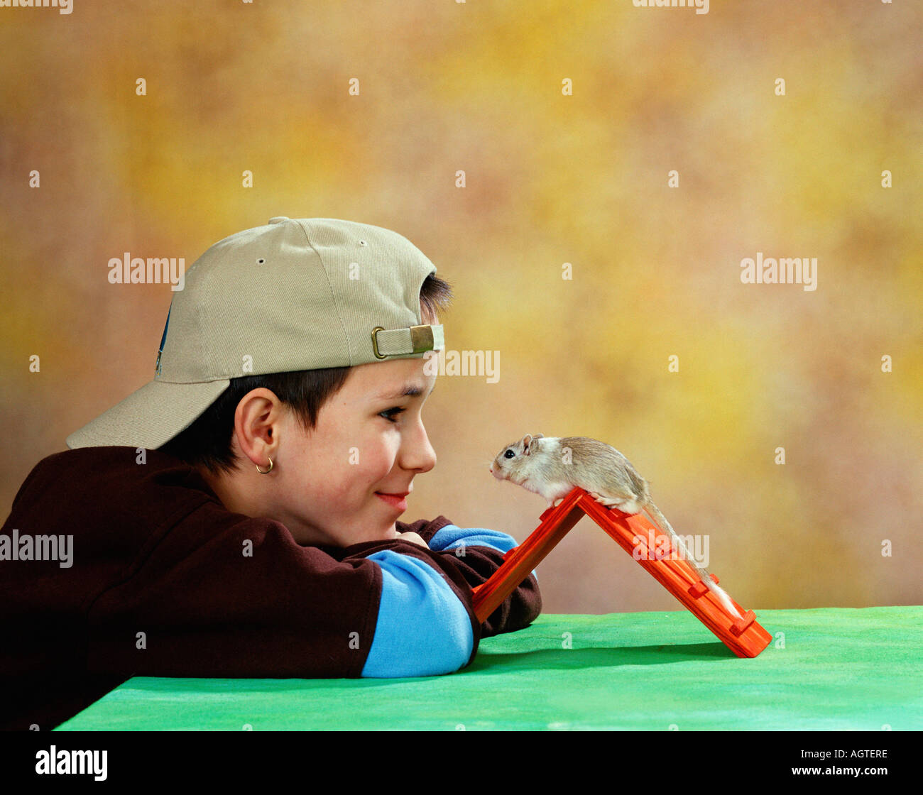 Boy with Gerbil Stock Photo Alamy