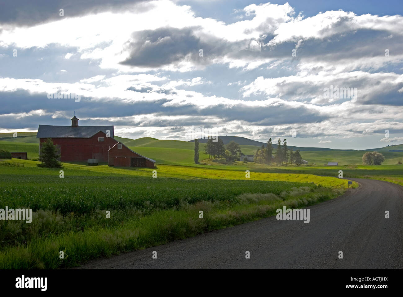 Red barn and green unripe wheat fields near Moscow Idaho Stock Photo