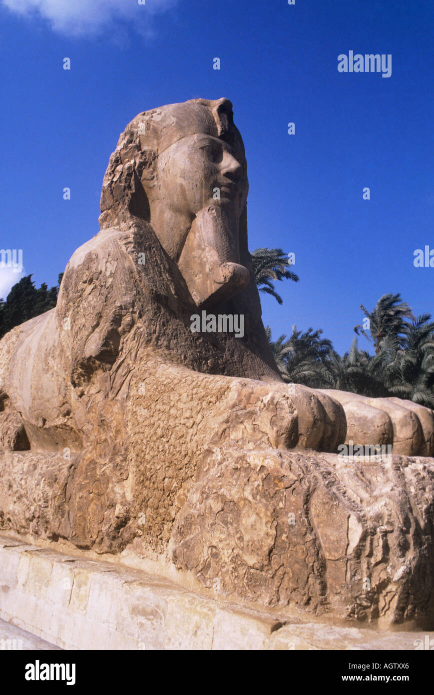 Memphis, the Alabaster Sphinx Stock Photo - Alamy