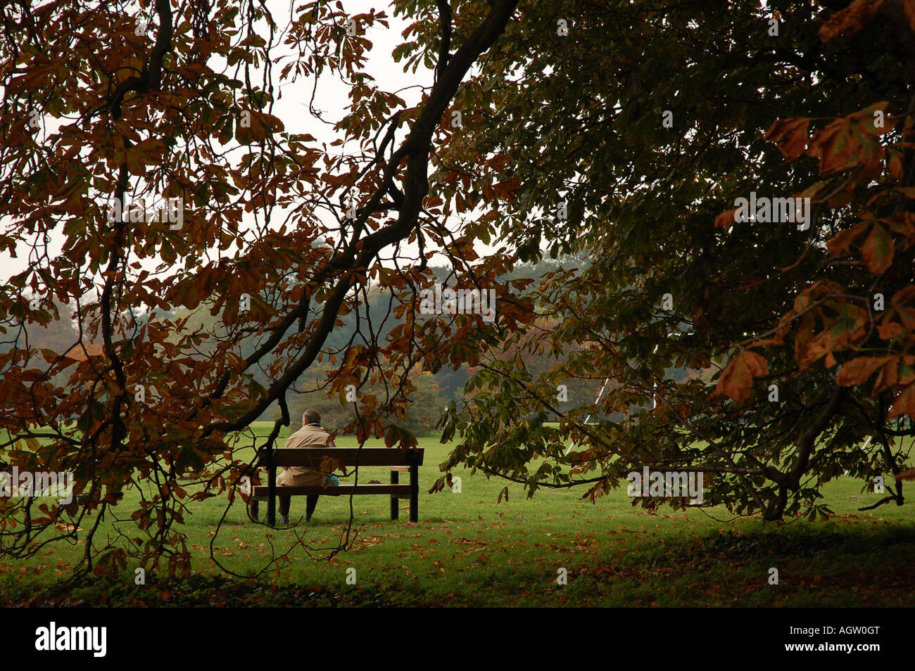 Old man on Park Bench Stock Photo - Alamy