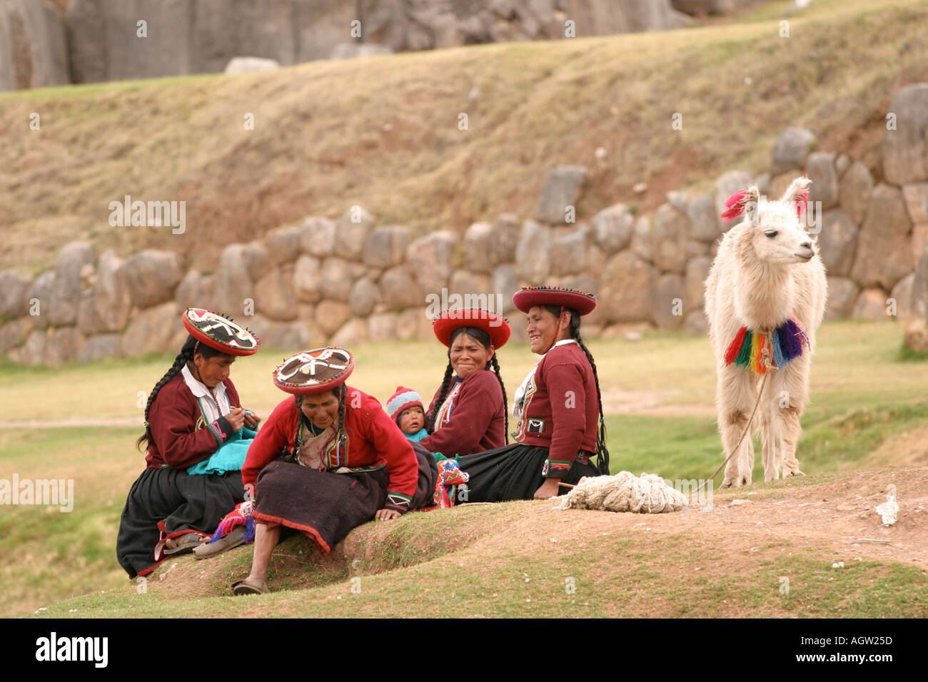 Cuzco sacred valley peru llamas hi-res stock photography and images - Alamy