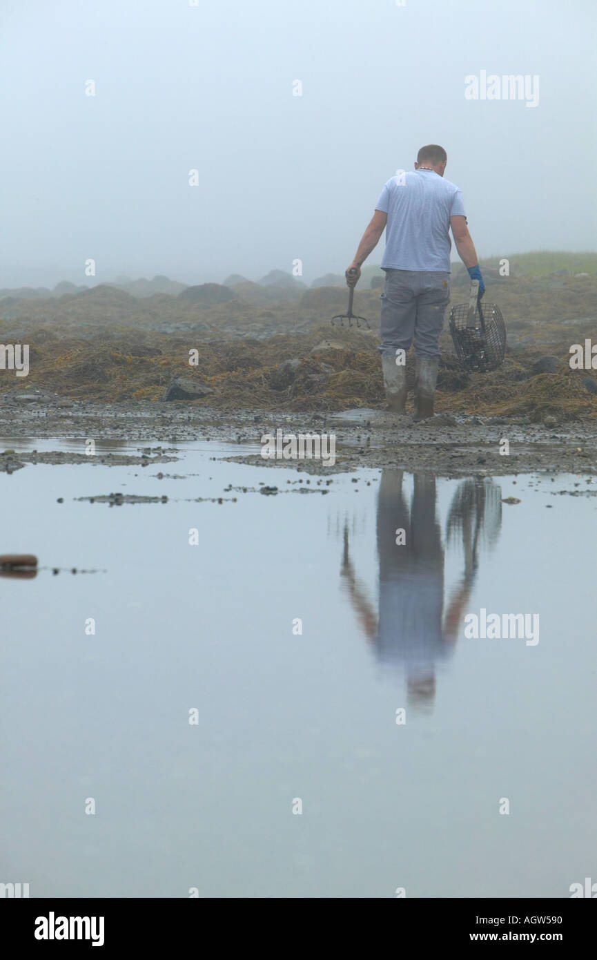 Clam digging maine hires stock photography and images Alamy