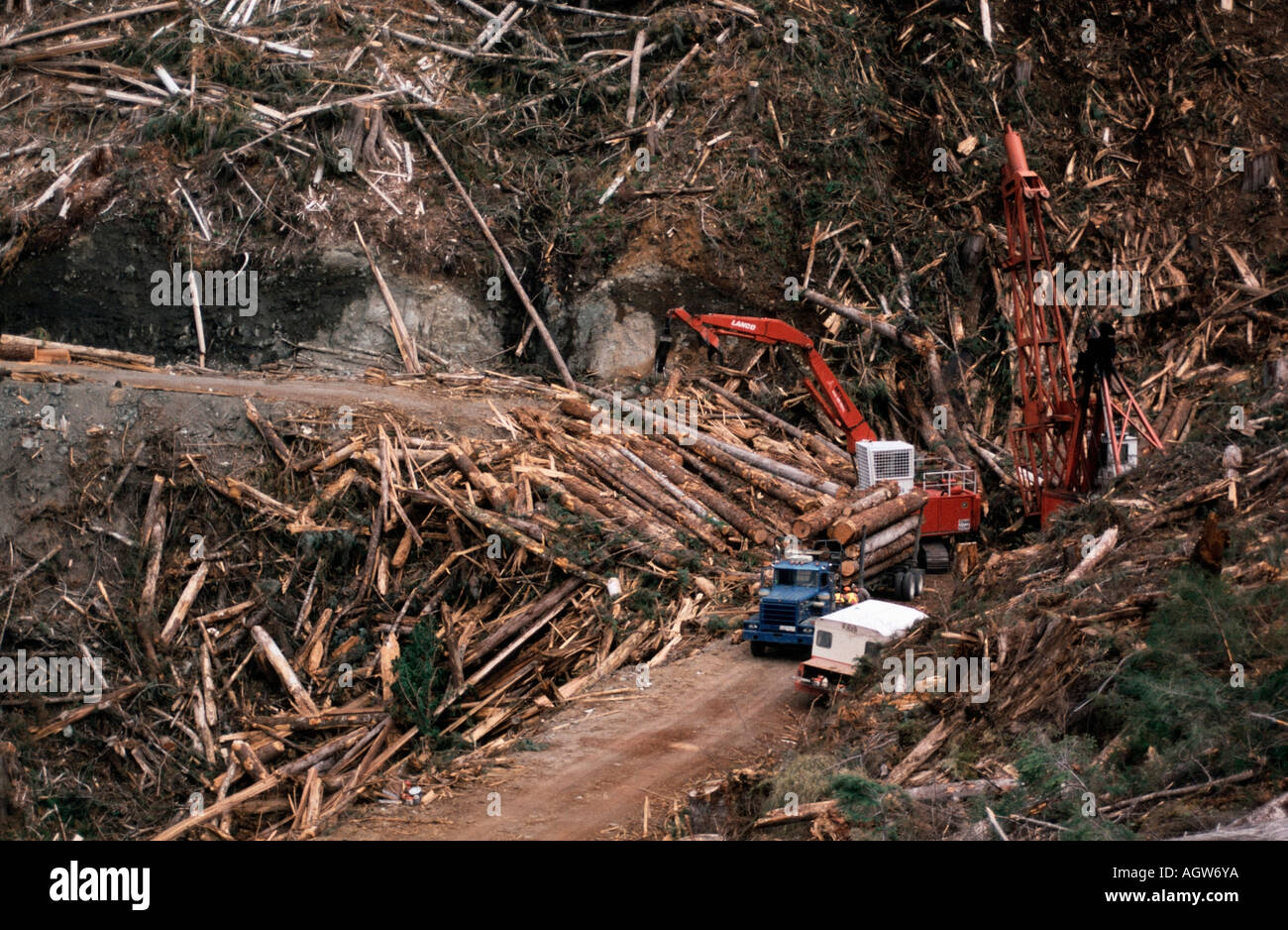 Clear Cut Stock Photo