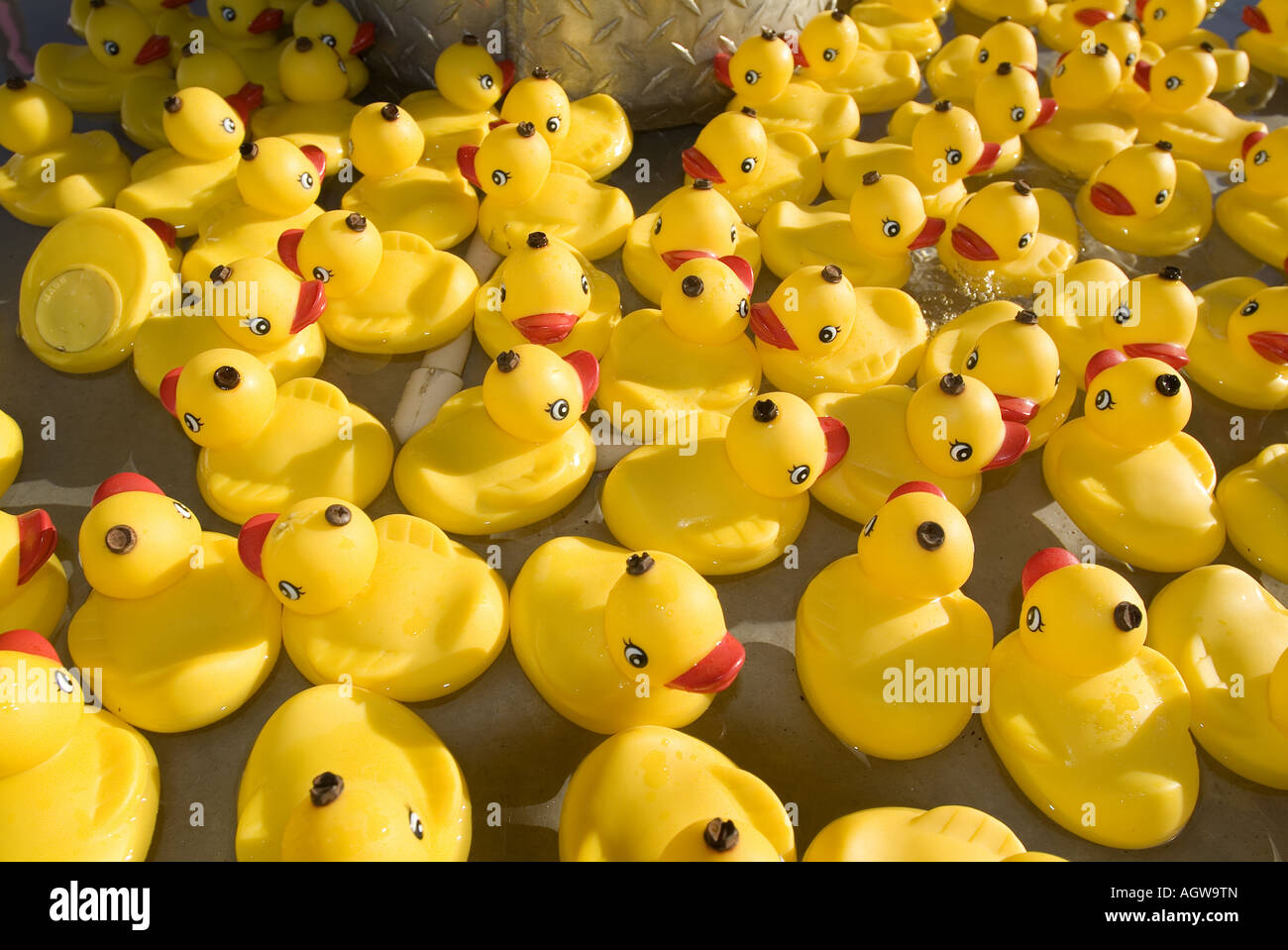 Crowd of yellow plastic ducks at carnival Stock Photo