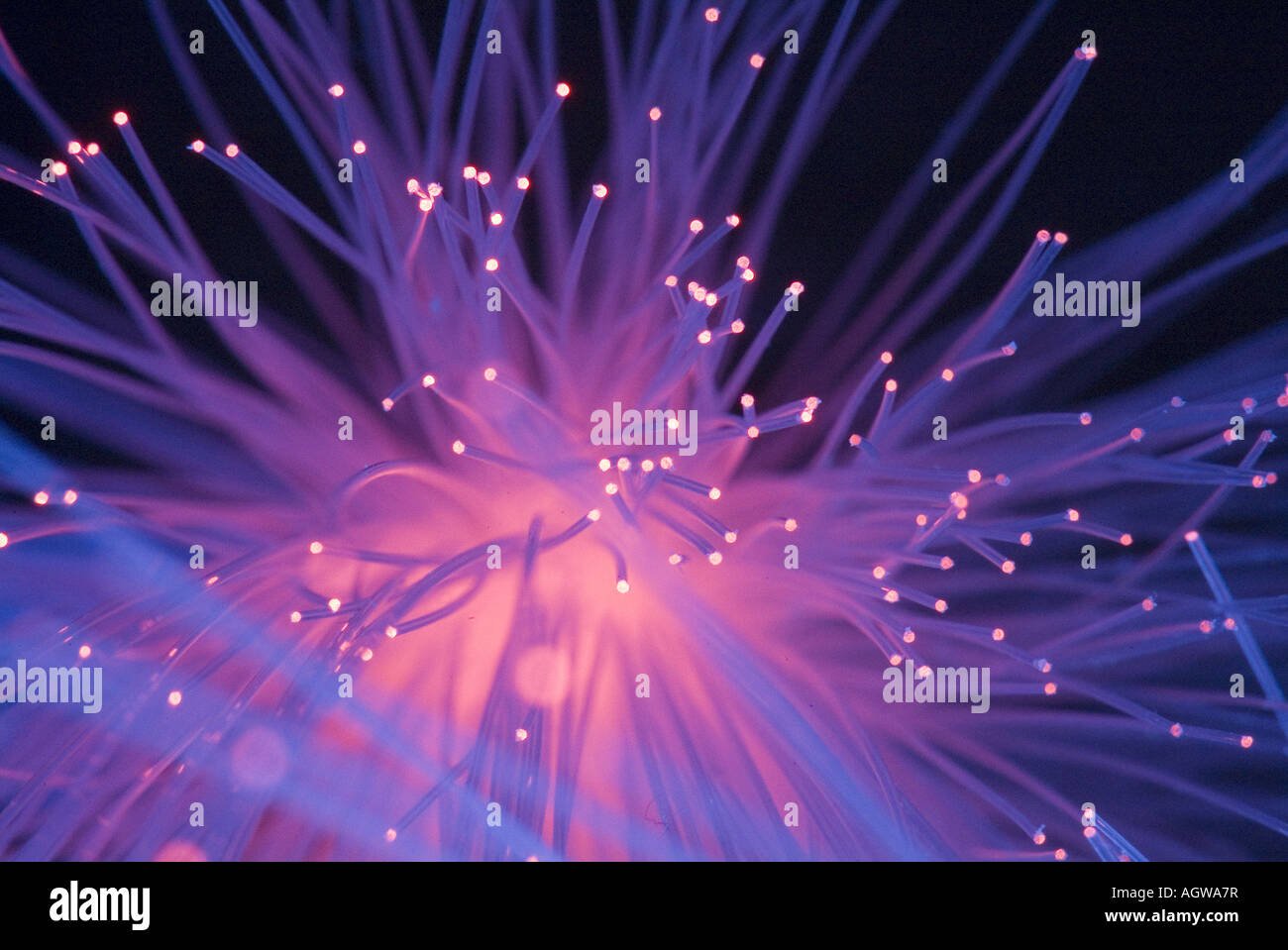 Glowing fiber optics fibers Stock Photo Alamy