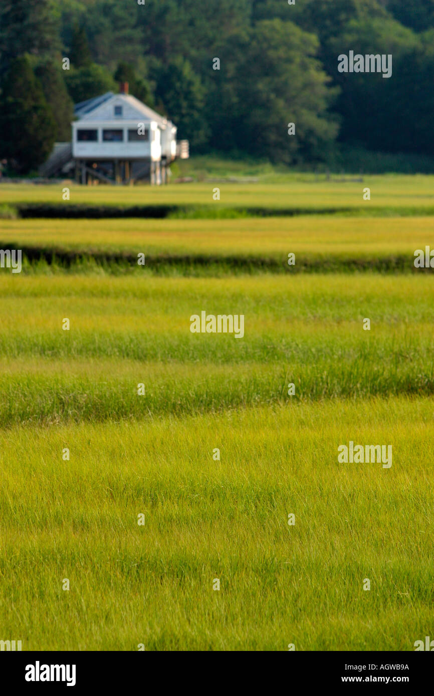Summer House on Marsh Wellfleet Cape Cod Massachusetts Stock Photo Alamy