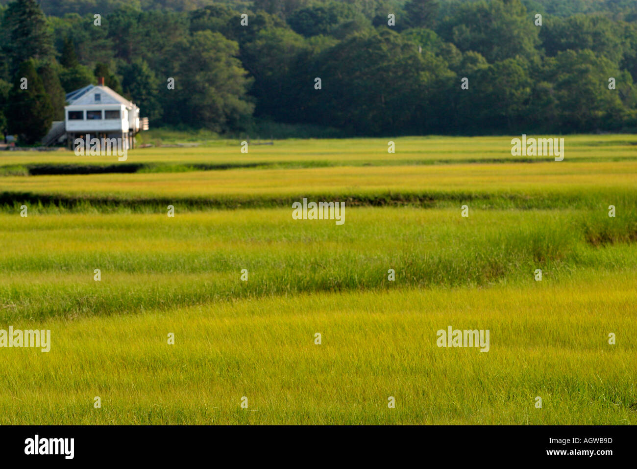 Marshfield house hires stock photography and images Alamy