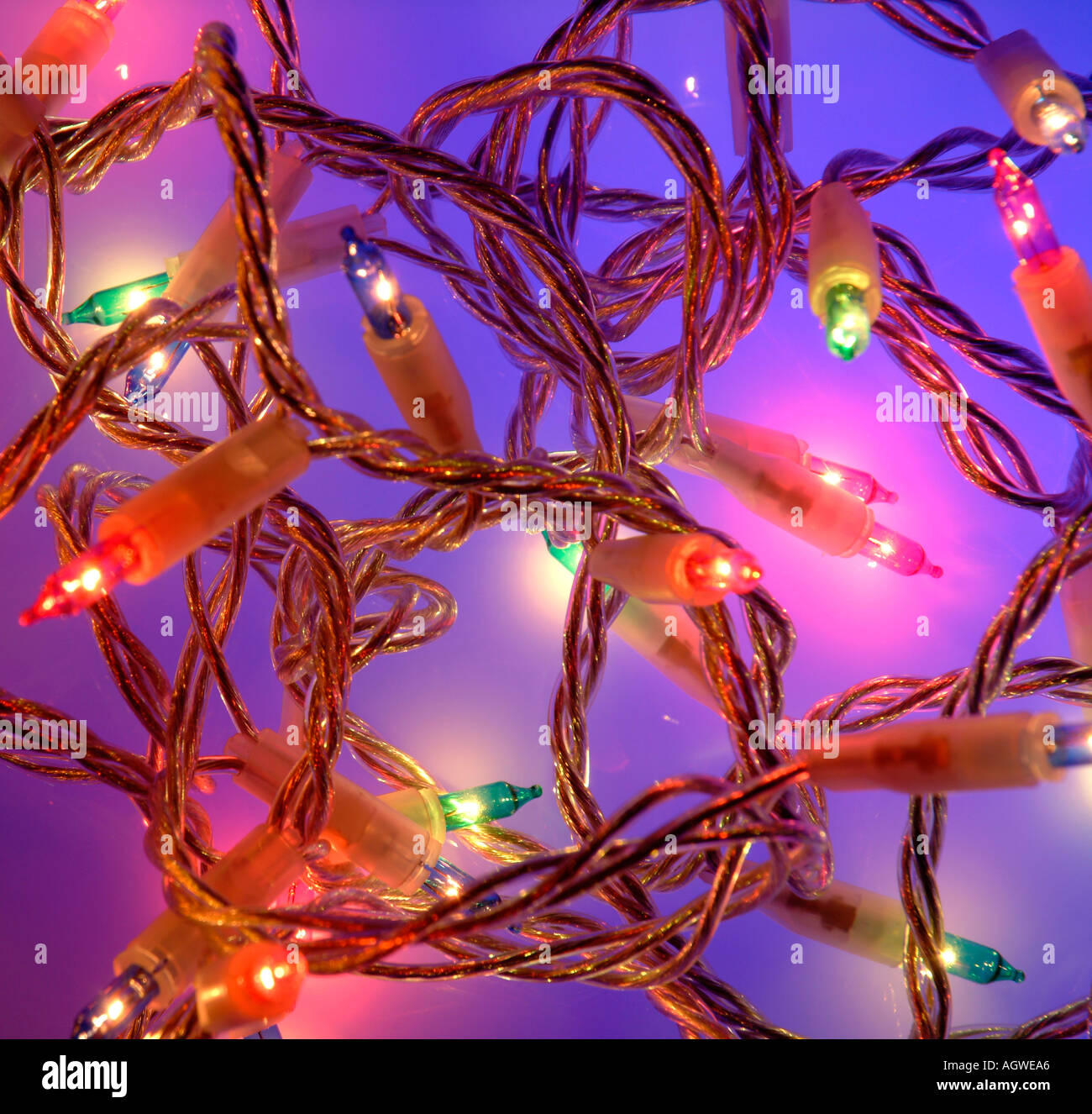 Christmas tree fairy lights Stock Photo Alamy