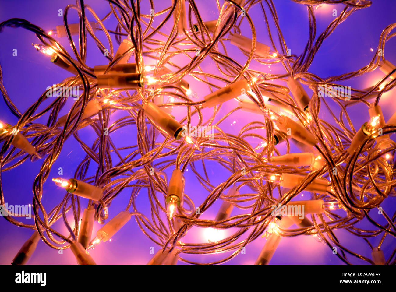 Christmas tree fairy lights Stock Photo Alamy