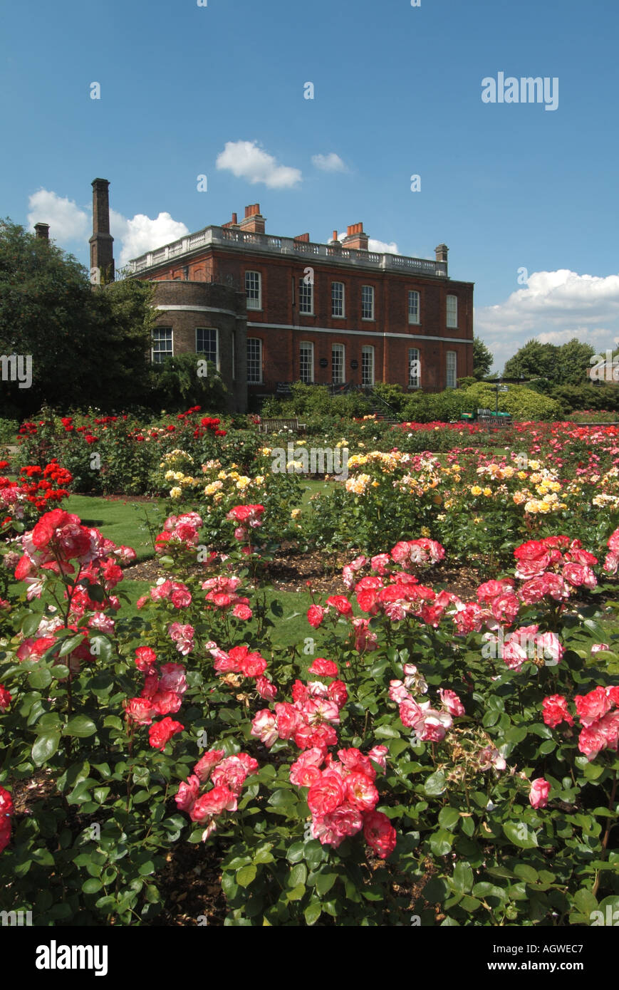 Rose garden & The Rangers House a red brick Palladian style Georgian mansion now home to Wernher art collection Greenwich Park Blackheath London UK Stock Photo