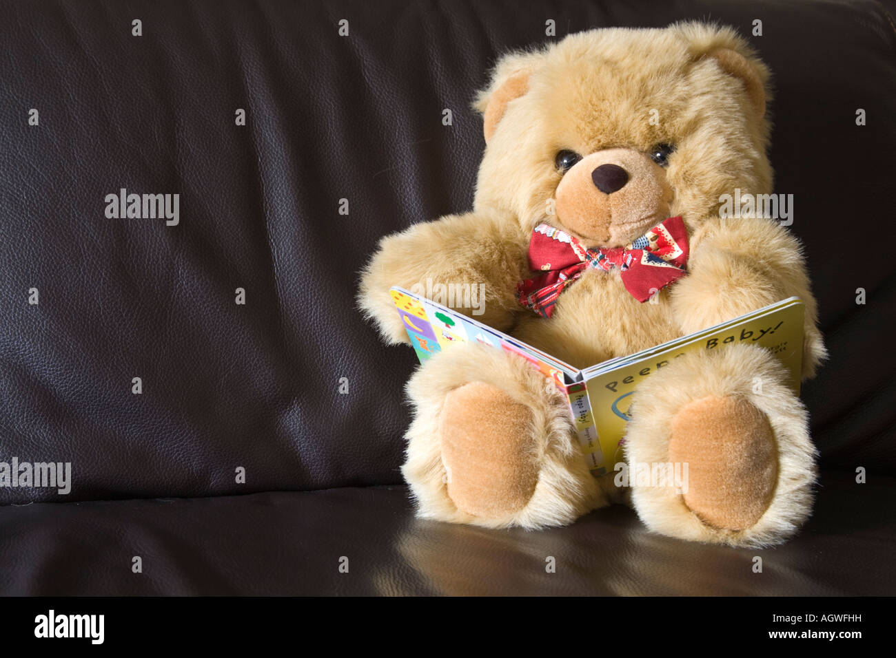 Teddy Bear reading a book Stock Photo Alamy