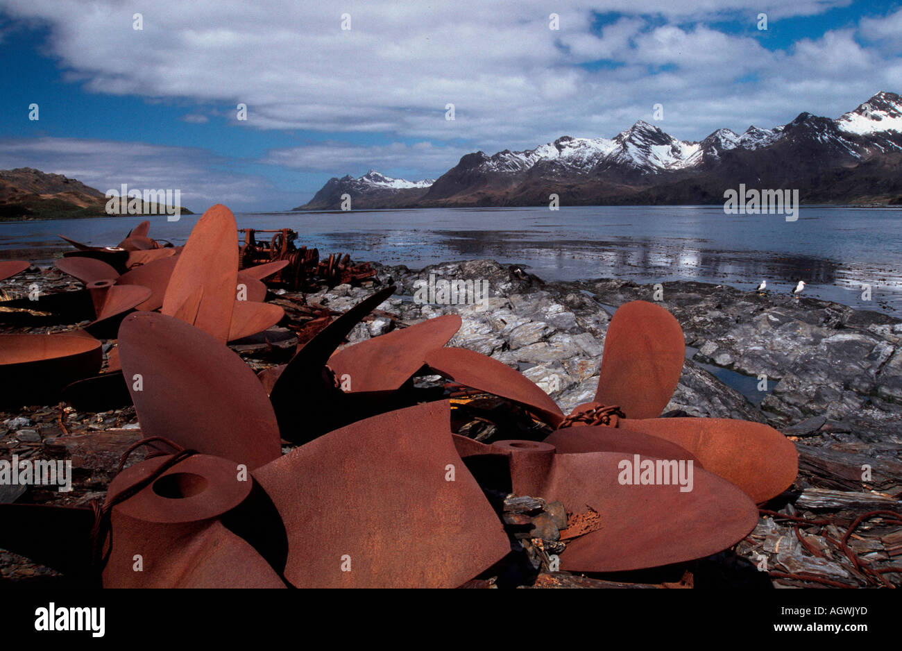 Old Whaling Station Husvik Stock Photo Alamy