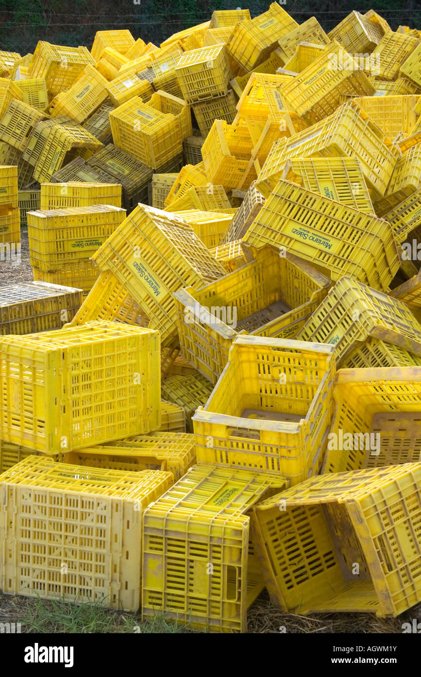 Pile of yellow plastic crates Stock Photo - Alamy