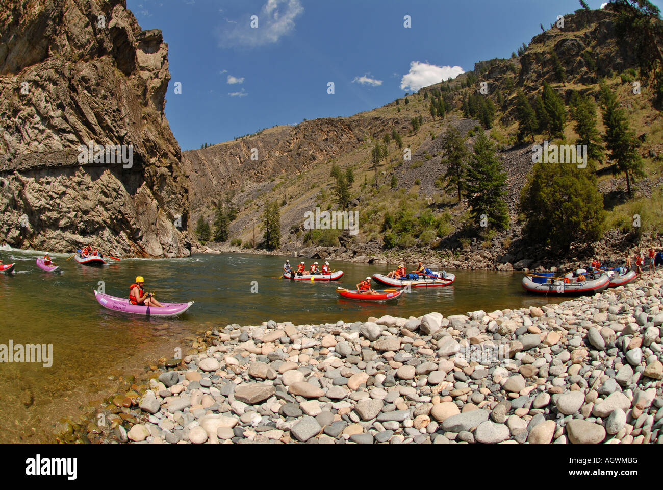 Middle Fork of the Salmon river the River or No Return in the Frank Church Wilderness of Idaho USA Stock Photo