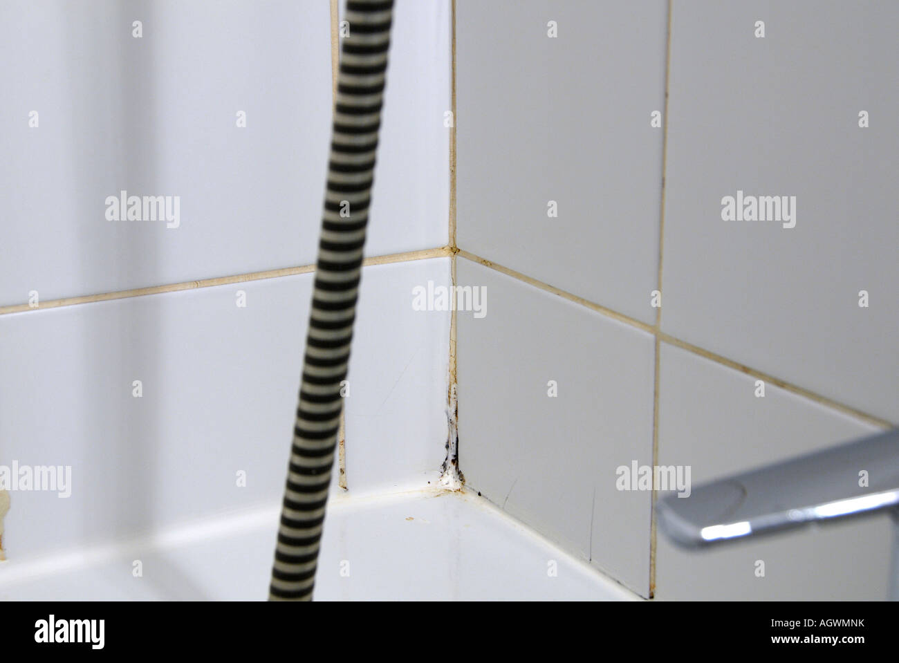 Mould in a bathroom Stock Photo